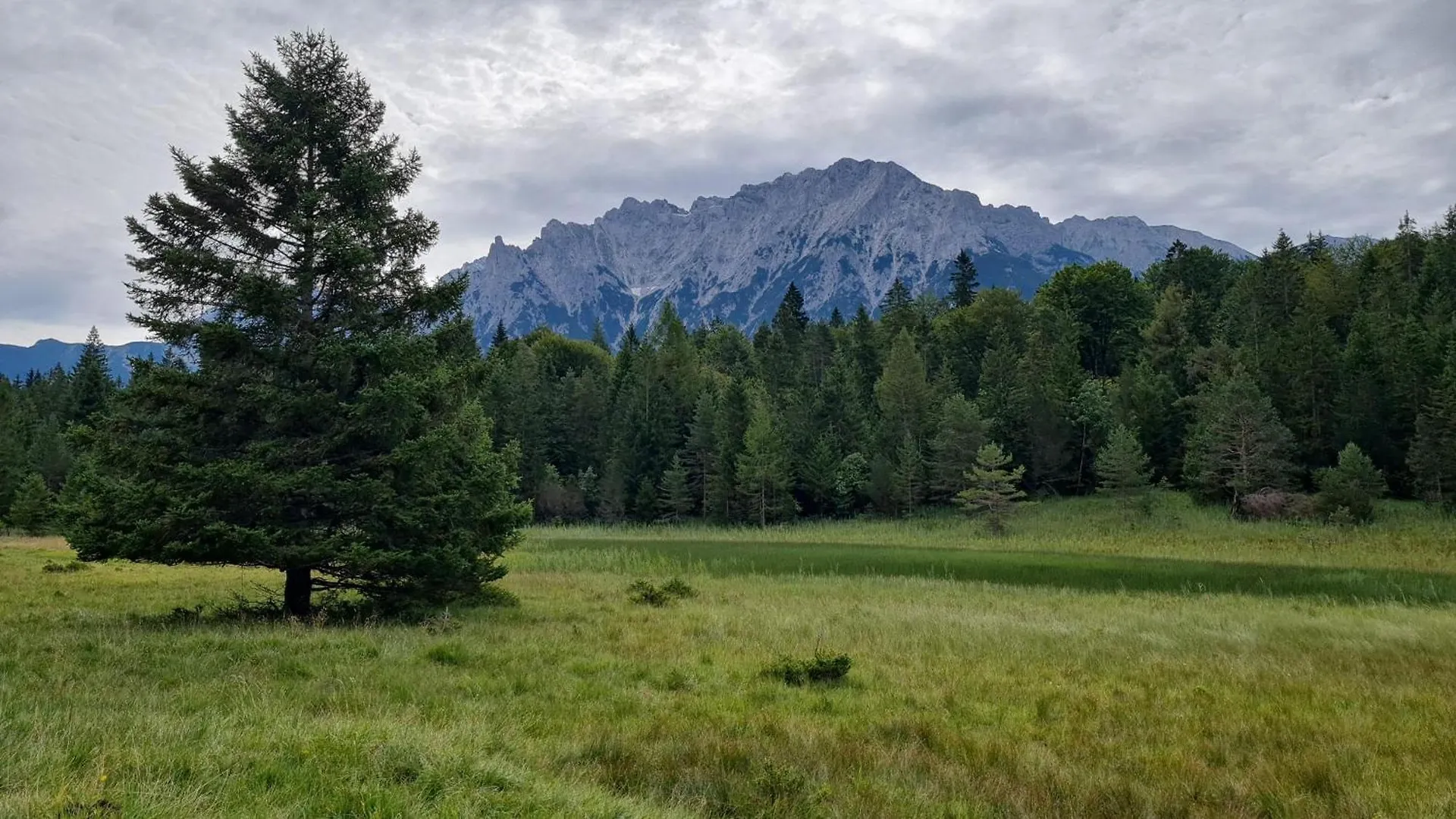 Lägenhet Haus Posaunenklang Mittenwald